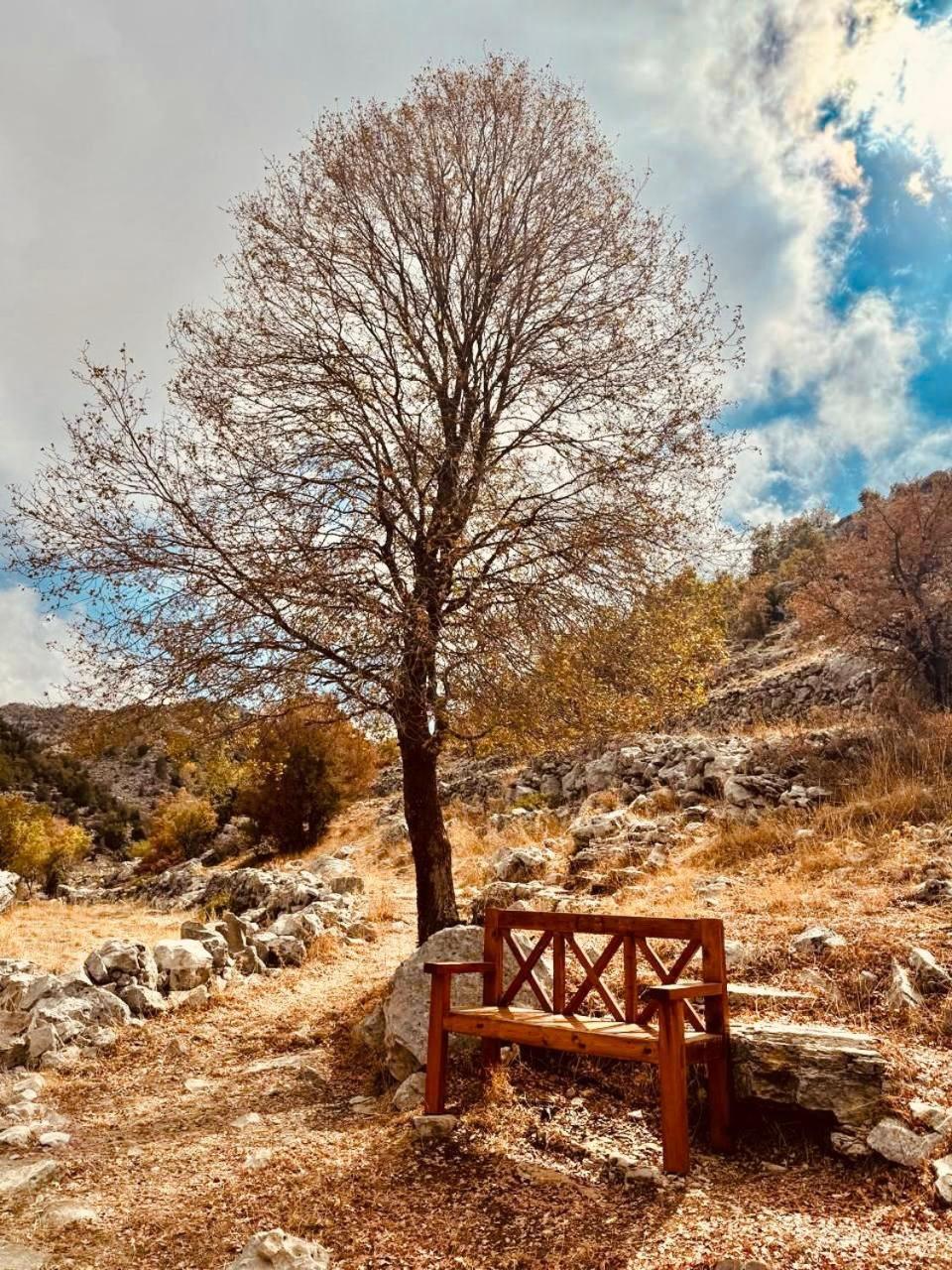 Stone Cellars Hotel Douma ภายนอก รูปภาพ